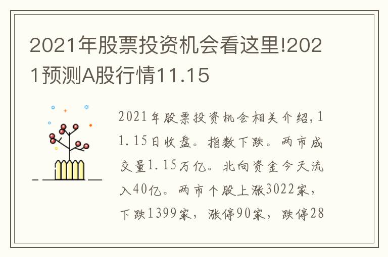 2021年股票投资机会看这里!2021预测A股行情11.15