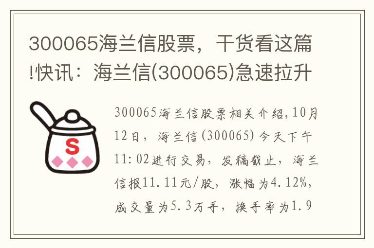 300065海兰信股票，干货看这篇!快讯：海兰信(300065)急速拉升，成交量放大