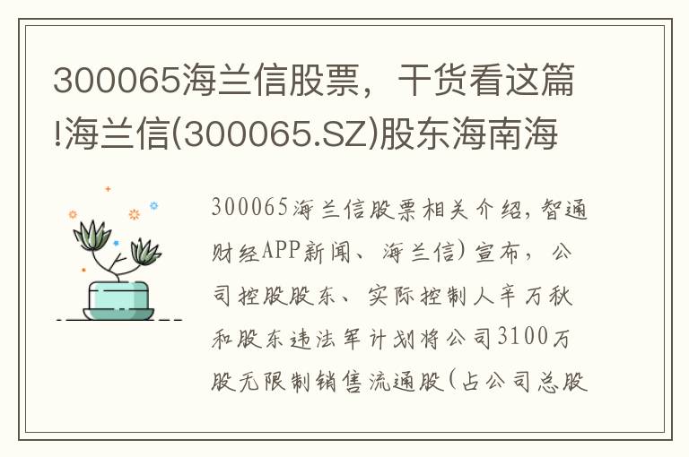 300065海兰信股票，干货看这篇!海兰信(300065.SZ)股东海南海钢持股比例将增至5.0612%