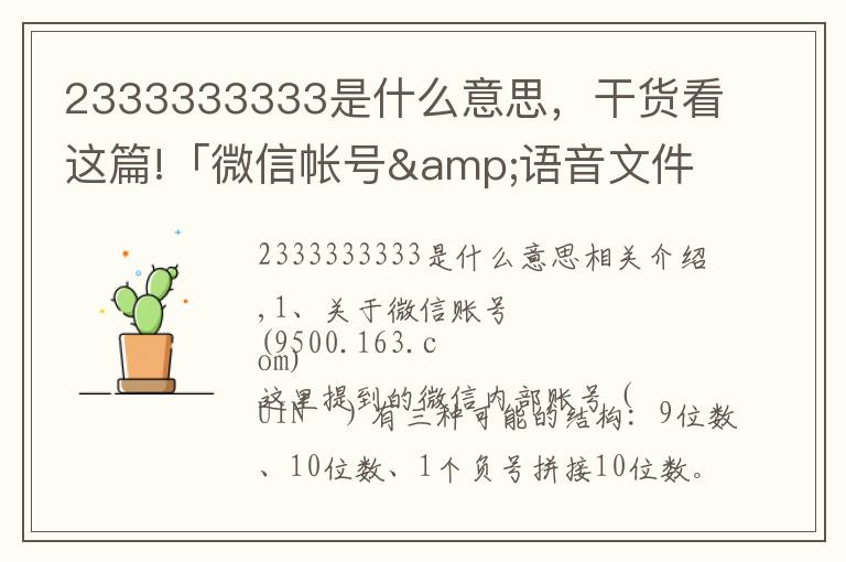 2333333333是什么意思,干货看这篇!「微信帐号&语音文件」结构分析