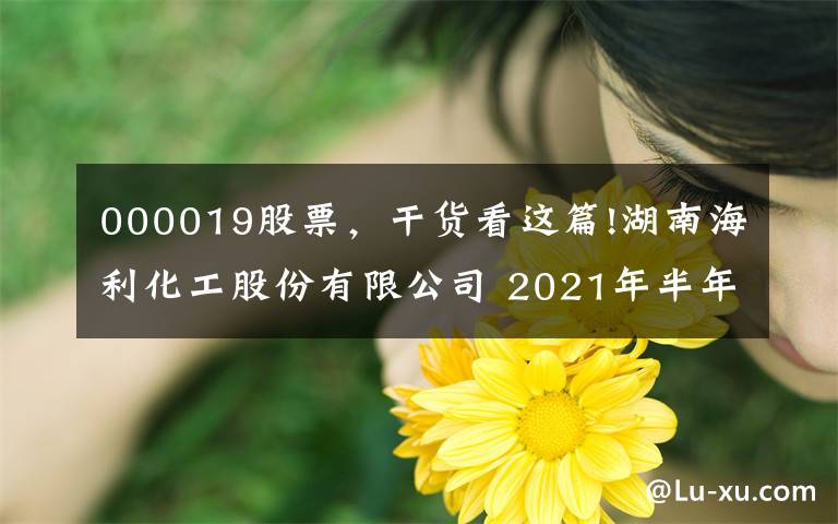 000019股票，干货看这篇!湖南海利化工股份有限公司 2021年半年度报告摘要