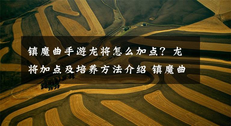 镇魔曲手游龙将怎么加点?龙将加点及培养方法介绍 镇魔曲手游龙将怎么才能肉起来