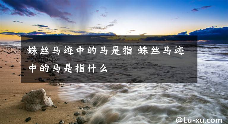 蛛丝马迹中的马是指 蛛丝马迹中的马是指什么
