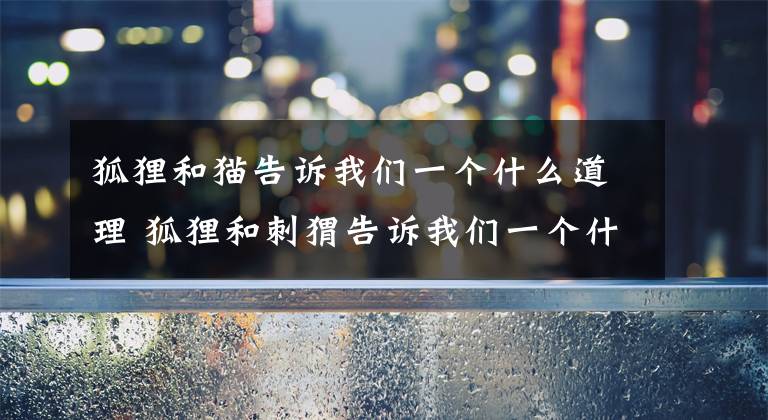 狐狸和猫告诉我们一个什么道理 狐狸和刺猬告诉我们一个什么道理