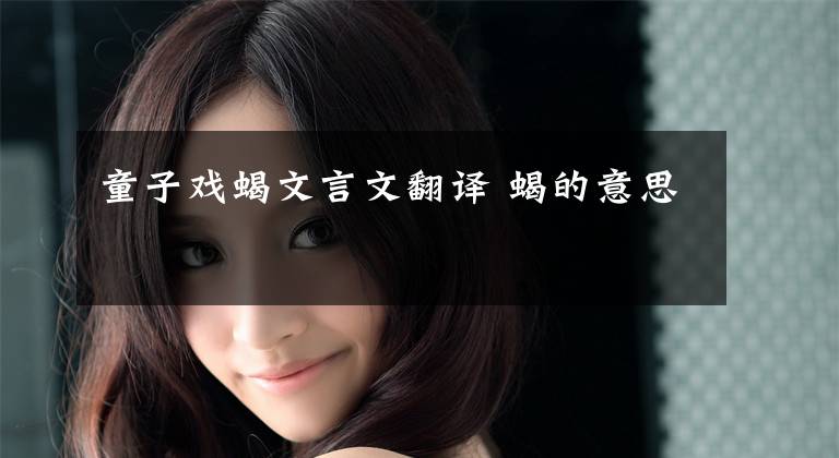 童子戏蝎文言文翻译 蝎的意思