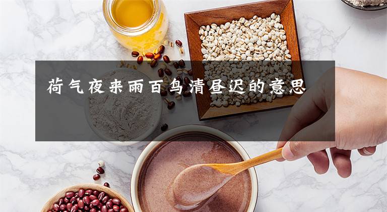 荷气夜来雨百鸟清昼迟的意思