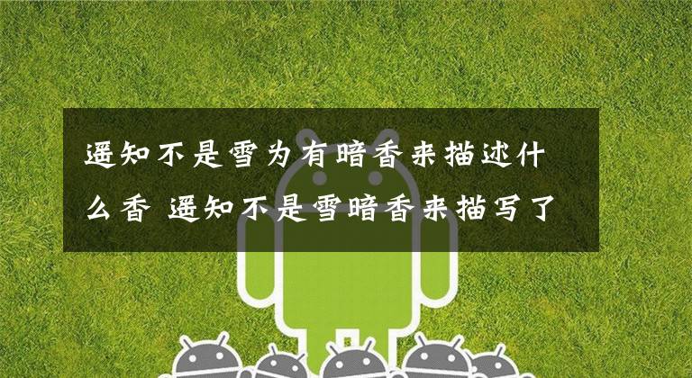 遥知不是雪为有暗香来描述什么香 遥知不是雪暗香来描写了什么