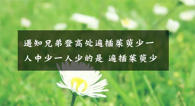 遥知兄弟登高处遍插茱萸少一人中少一人少的是 遍插茱萸少一人中的少一人是指