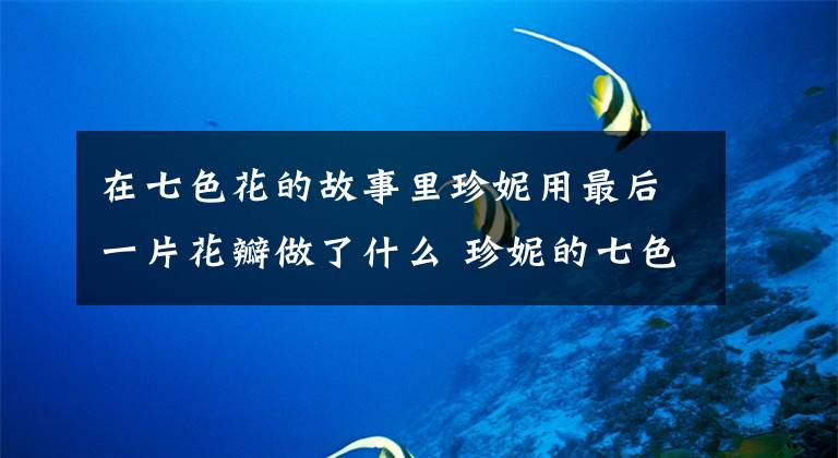 在七色花的故事里珍妮用最后一片花瓣做了什么 珍妮的七色花瓣