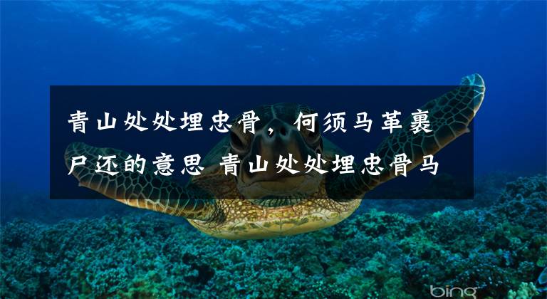 青山处处埋忠骨,何须马革裹尸还的意思 青山处处埋忠骨马革裹尸还的意思