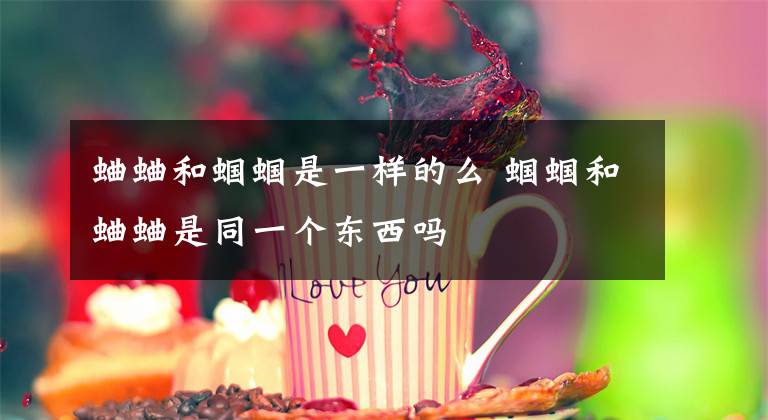 蛐蛐和蝈蝈是一样的么 蝈蝈和蛐蛐是同一个东西吗