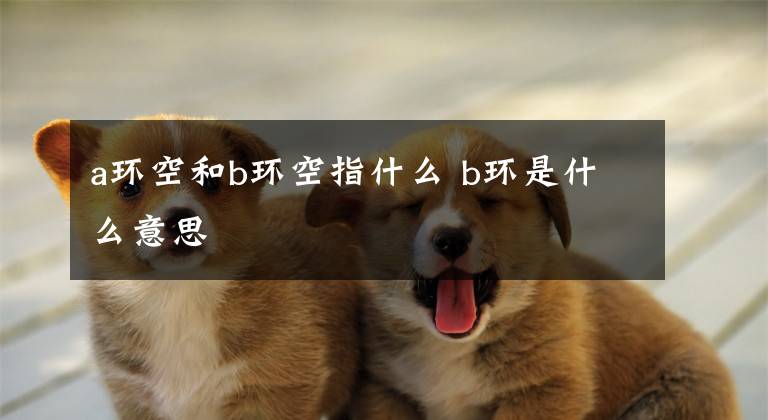 a环空和b环空指什么 b环是什么意思