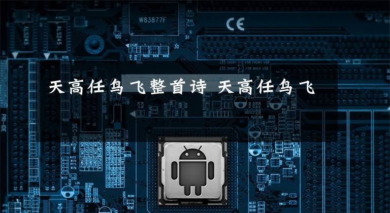 天高任鸟飞整首诗 天高任鸟飞