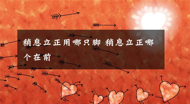 稍息立正用哪只脚 稍息立正哪个在前