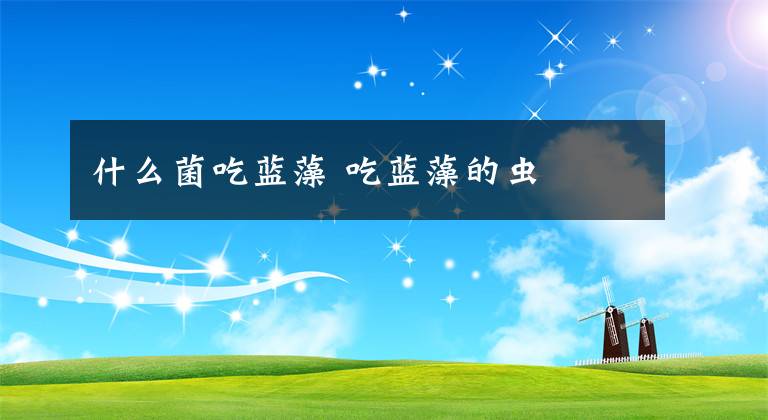 什么菌吃蓝藻 吃蓝藻的虫