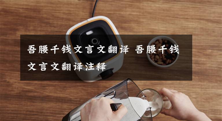 吾腰千钱文言文翻译 吾腰千钱文言文翻译注释