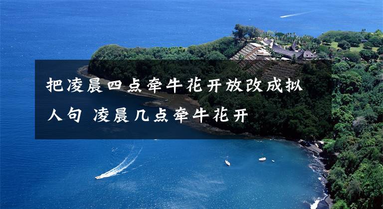 把凌晨四点牵牛花开放改成拟人句 凌晨几点牵牛花开