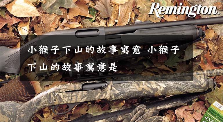 小猴子下山的故事寓意 小猴子下山的故事寓意是