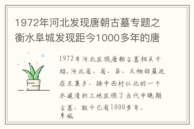 1972年河北发现唐朝古墓专题之衡水阜城发现距今1000多年的唐朝古墓！出土大量罕见文物