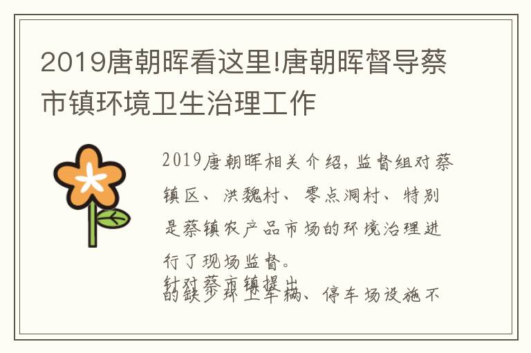 2019唐朝晖看这里!唐朝晖督导蔡市镇环境卫生治理工作