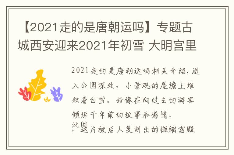 【2021走的是唐朝运吗】专题古城西安迎来2021年初雪 大明宫里别样雪景重现大唐气韵