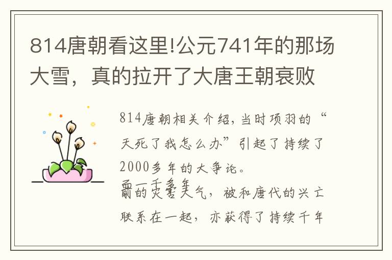 814唐朝看这里!公元741年的那场大雪，真的拉开了大唐王朝衰败的序幕了吗