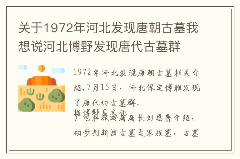 关于1972年河北发现唐朝古墓我想说河北博野发现唐代古墓群