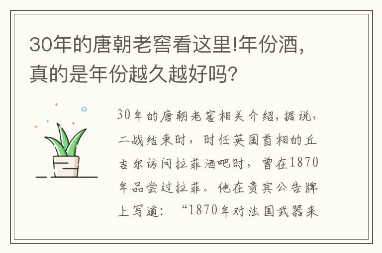30年的唐朝老窖看这里!年份酒，真的是年份越久越好吗？