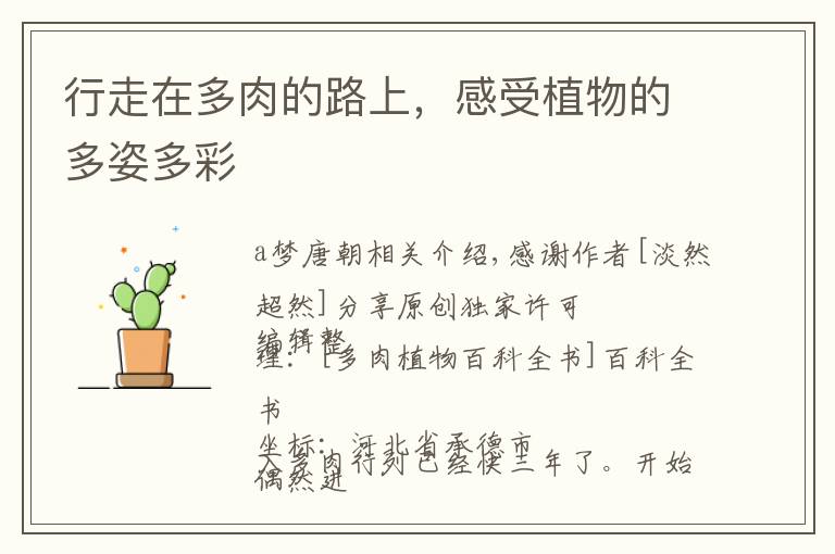 行走在多肉的路上，感受植物的多姿多彩