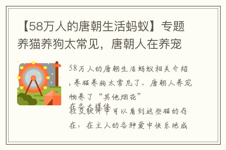 【58万人的唐朝生活蚂蚁】专题养猫养狗太常见，唐朝人在养宠物上养出了"不一样的烟火"