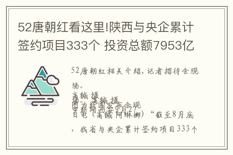 52唐朝红看这里!陕西与央企累计签约项目333个 投资总额7953亿元
