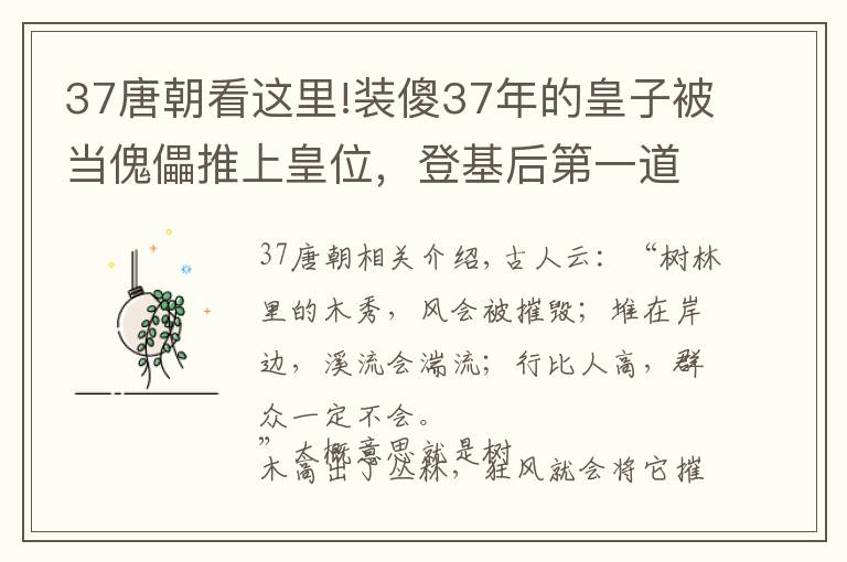 37唐朝看这里!装傻37年的皇子被当傀儡推上皇位,登基后第一道圣旨,让百官胆寒