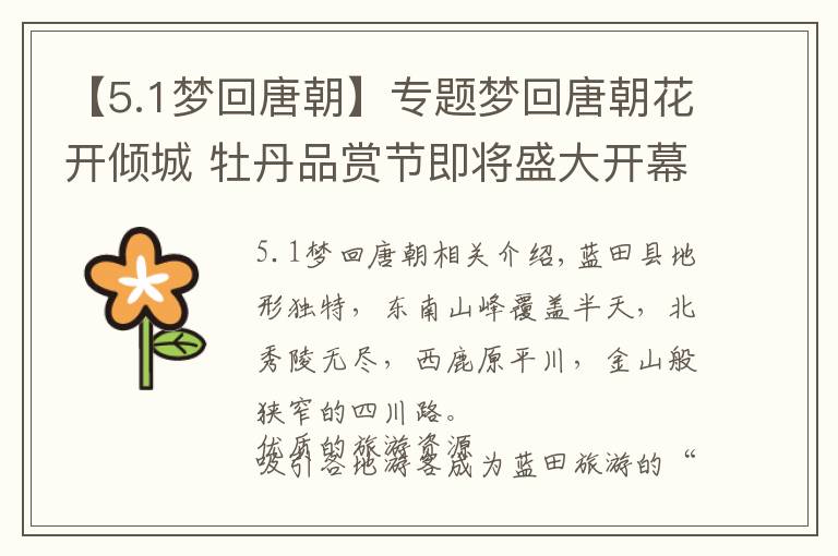 【5.1梦回唐朝】专题梦回唐朝花开倾城 牡丹品赏节即将盛大开幕 蓝田洩湖镇簸箕掌