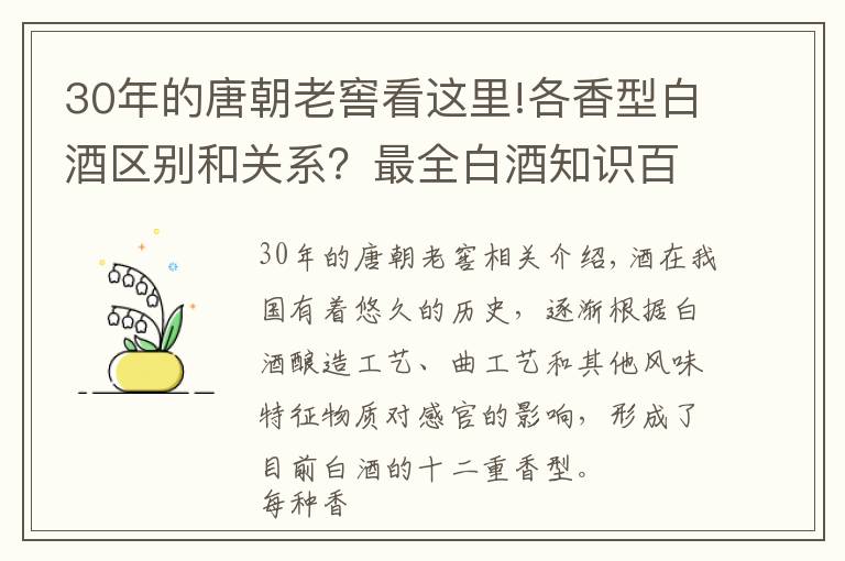 30年的唐朝老窖看这里!各香型白酒区别和关系？最全白酒知识百科！