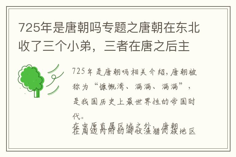 725年是唐朝吗专题之唐朝在东北收了三个小弟,三者在唐之后主导了我国历史的发展进程