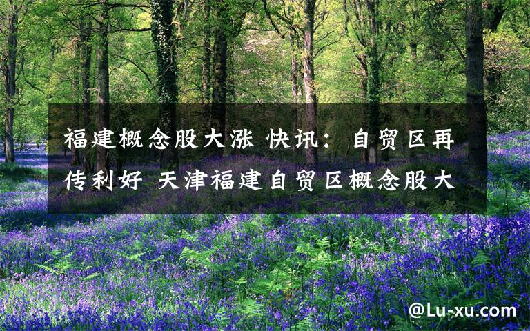 福建概念股大涨 快讯:自贸区再传利好 天津福建自贸区概念股大涨
