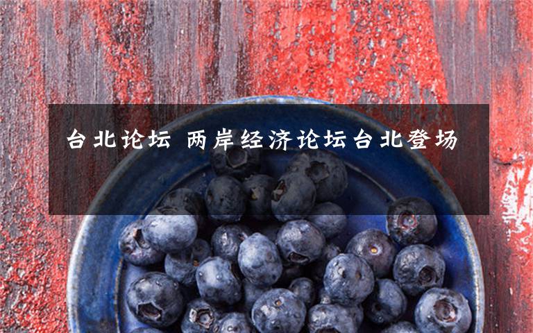 台北论坛 两岸经济论坛台北登场