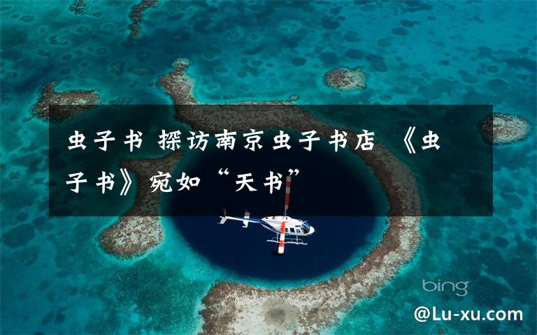 虫子书 探访南京虫子书店 《虫子书》宛如“天书”