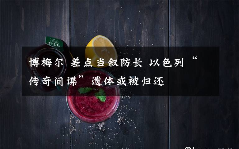 博梅尔 差点当叙防长 以色列“传奇间谍”遗体或被归还