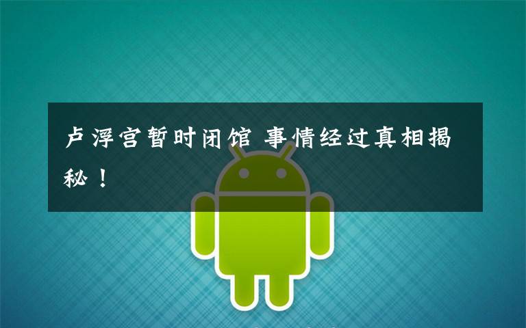 卢浮宫暂时闭馆 事情经过真相揭秘!