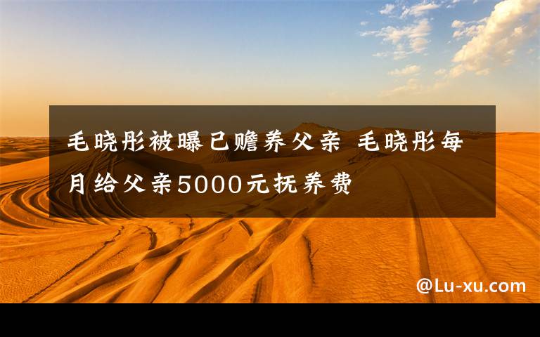 毛晓彤被曝已赡养父亲 毛晓彤每月给父亲5000元抚养费