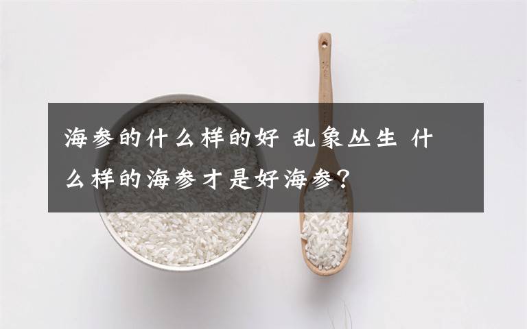 海参的什么样的好 乱象丛生 什么样的海参才是好海参?