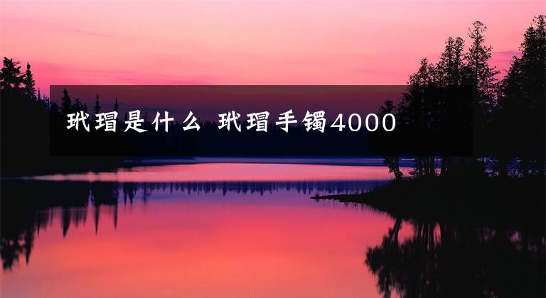 玳瑁是什么 玳瑁手镯4000