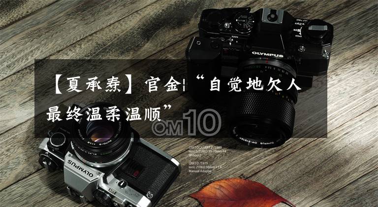 【夏承焘】官金|“自觉地欠人最终温柔温顺”