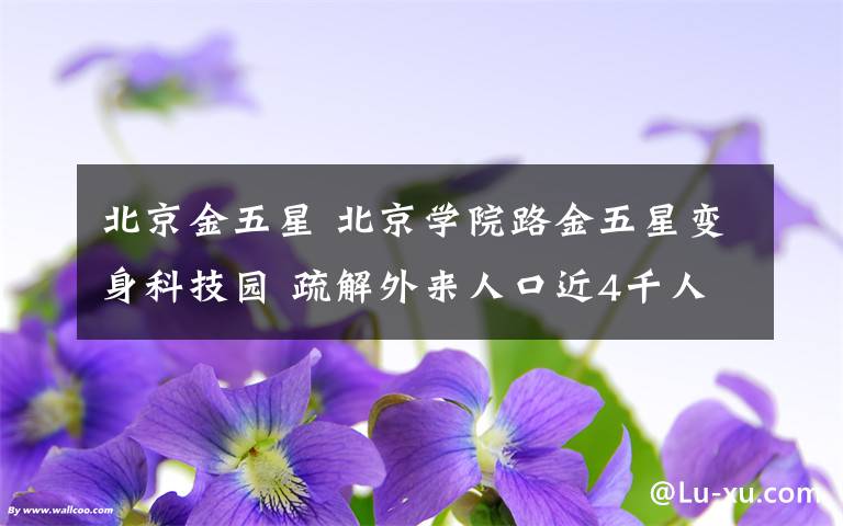 北京金五星 北京学院路金五星变身科技园 疏解外来人口近4千人