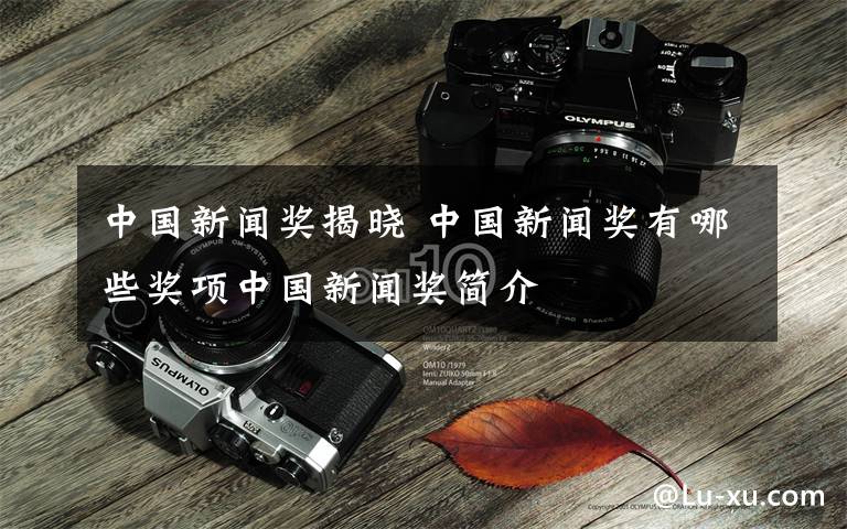 中国新闻奖揭晓 中国新闻奖有哪些奖项中国新闻奖简介