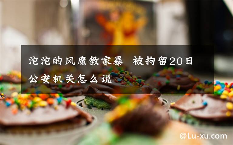 沱沱的风魔教家暴 被拘留20日公安机关怎么说