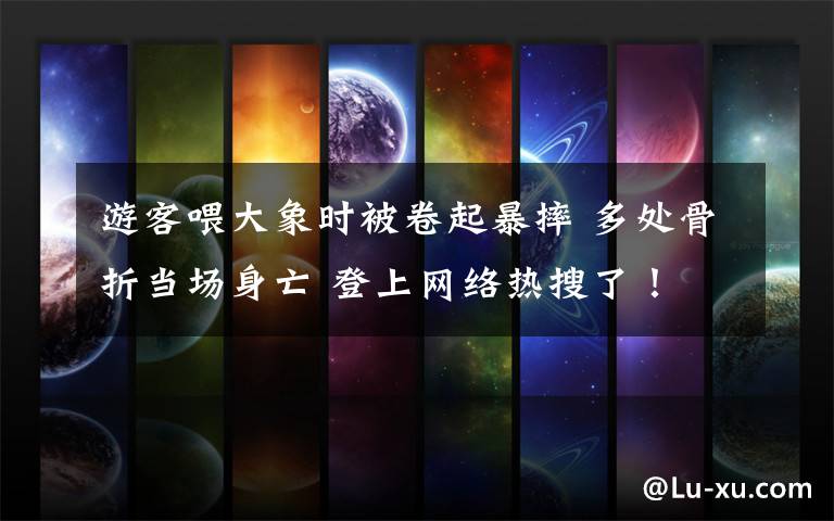 游客喂大象时被卷起暴摔 多处骨折当场身亡 登上网络热搜了!