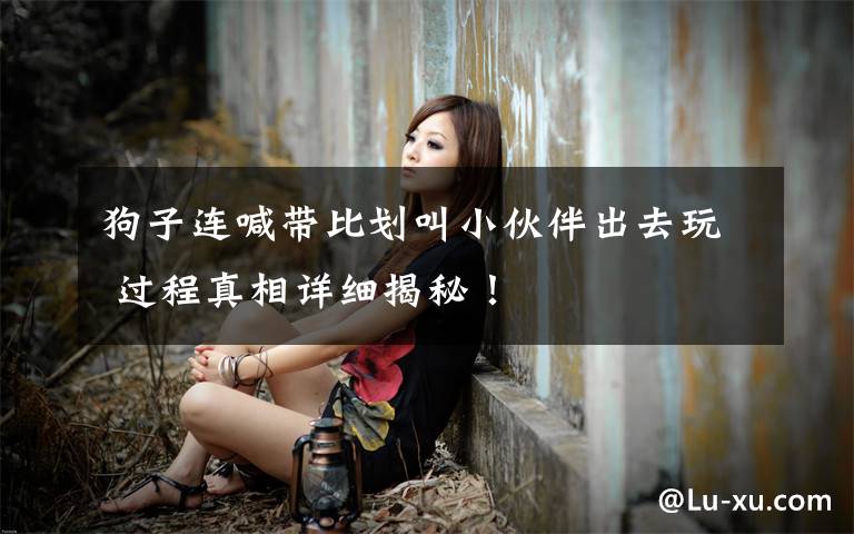 狗子连喊带比划叫小伙伴出去玩 过程真相详细揭秘！