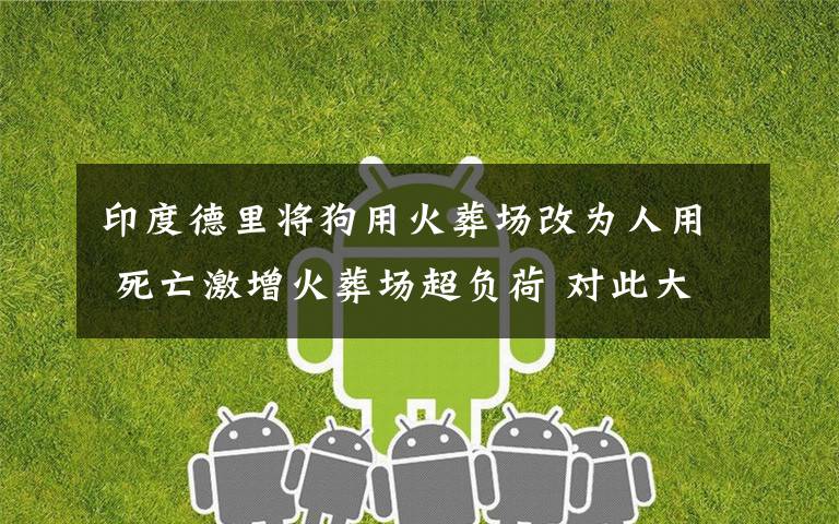 印度德里将狗用火葬场改为人用 死亡激增火葬场超负荷 对此大家怎么看?